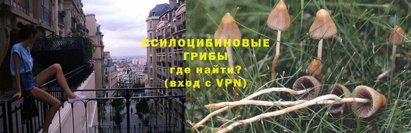 2c-b Армянск